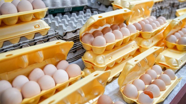 Латвийские птицеводы считают засилье украинских яиц на рынке недобросовестной конкуренцией