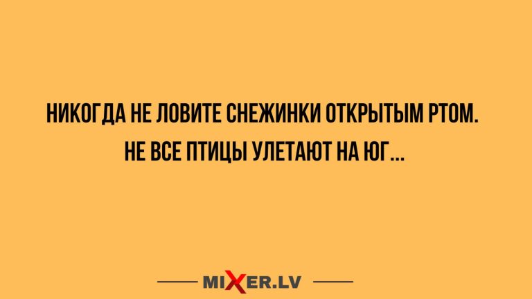 Юмор за день и снежинки