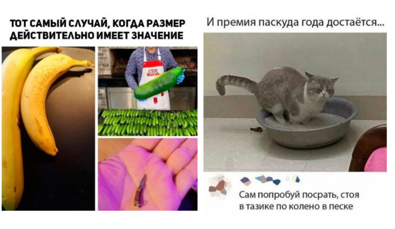 Забавные комментарии, которые как острый соус приправляют сам пост