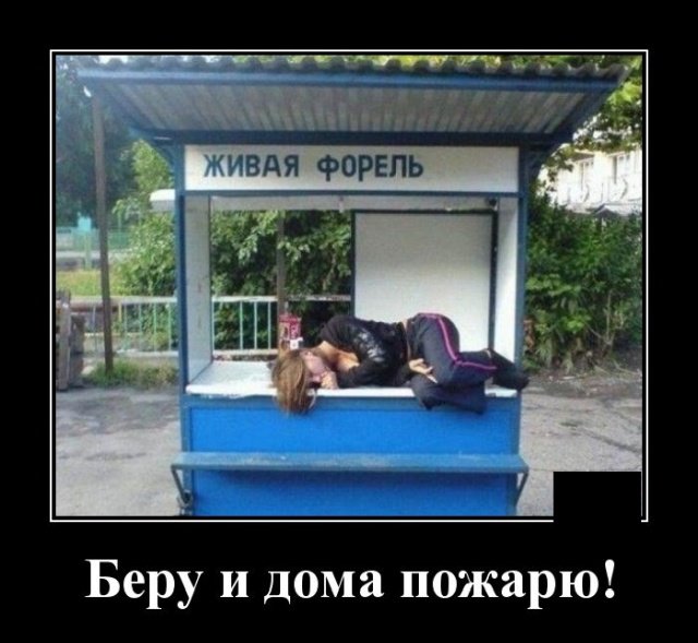 Новые демотиваторы и живая форель