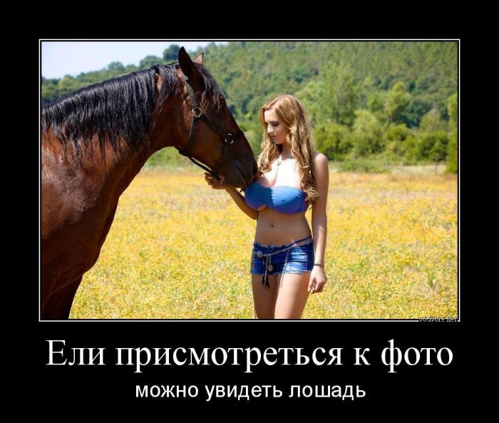 Новые демотиваторы и трудно различимый конь