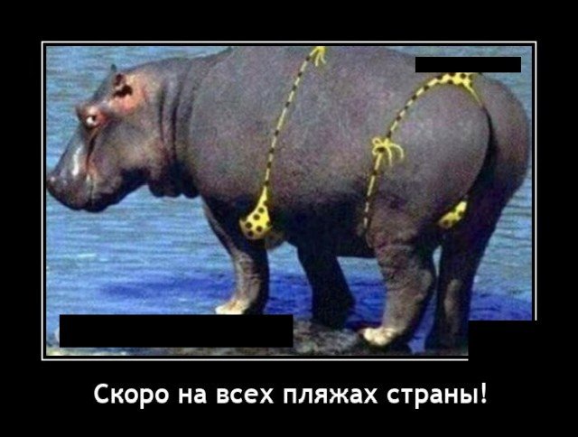 Новые демотиваторы и скоро на пляж