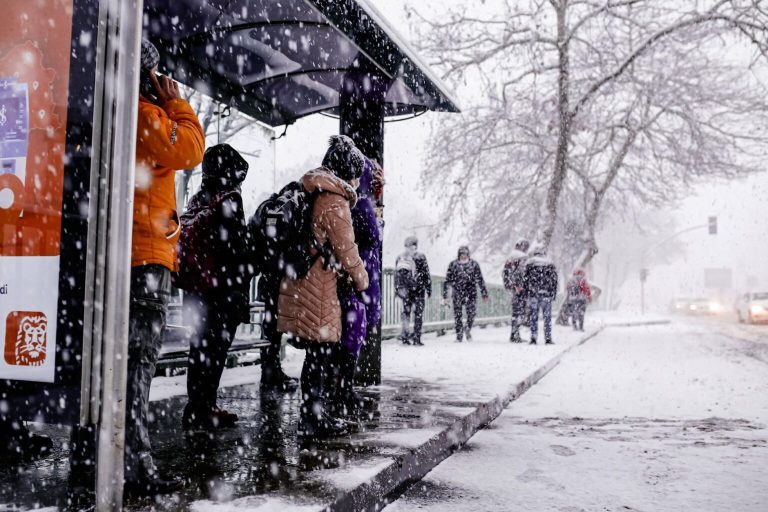 В ближайшие сутки во многих местах продолжит идти снег