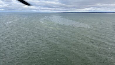 Сбор загрязнений в Балтийском море завершен