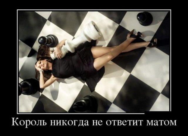 Новые демотиваторы и королевский ответ