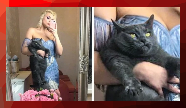 Неудачные фотографии кошек, которые они наверняка попросили бы стереть