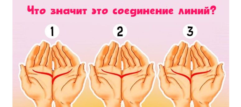 Хиромант дает 98,5% точности: эти линии говорят, каков человек в любви