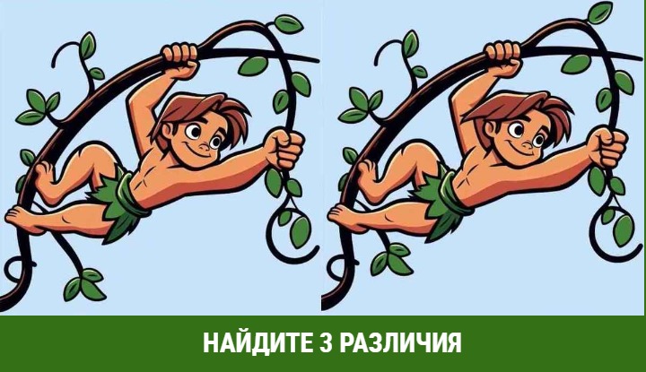 Тарзан Тарзану рознь: найдите 3 различия и прокачайте мозг