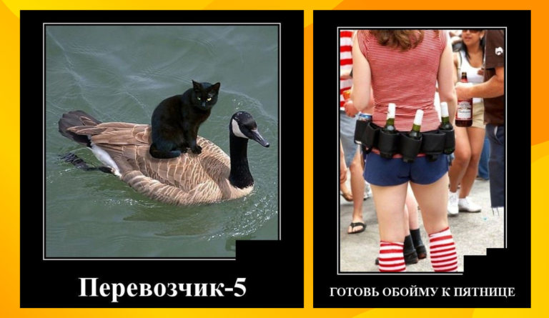 Новые демотиваторы и обойма к пятнице