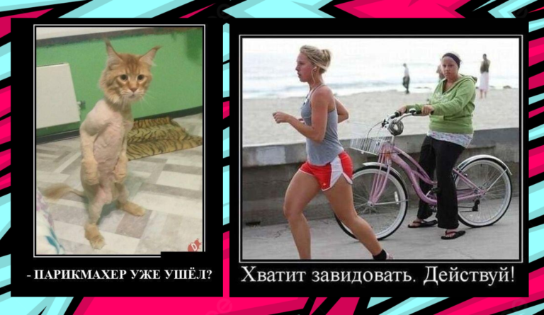 Новые демотиваторы и хватит завидовать