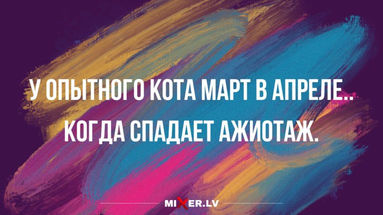 Юмор за день и опытный кот