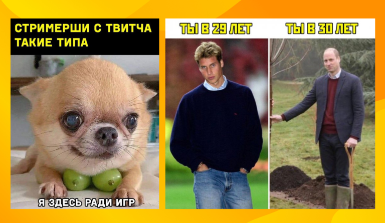 Прикольные картинки с надписями и принц Уэльский