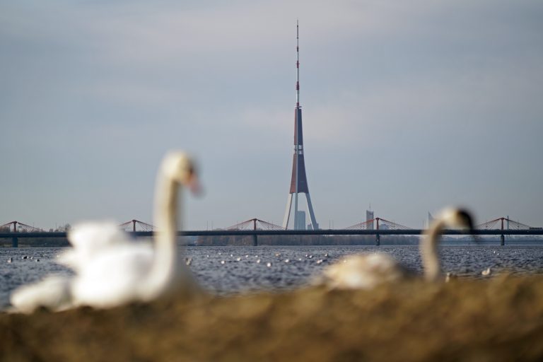 Во второй половине недели дожди и мокрый снег, на Пасху до +20: синоптики сделали свои прогнозы