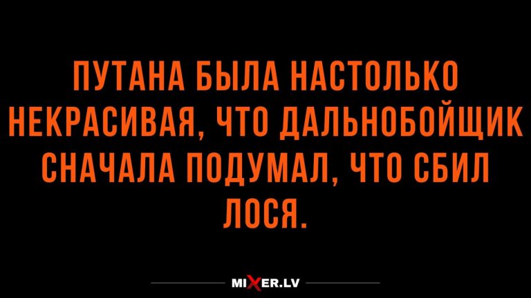 Юмор за день и лось на дороге