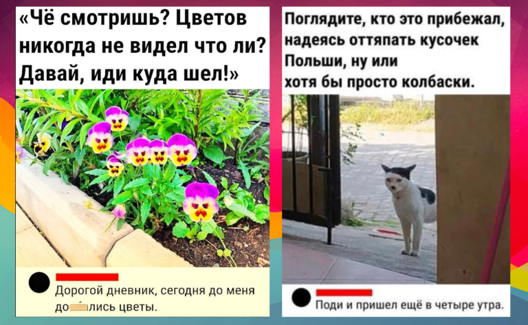 Забавные комментарии, которые как острый соус приправляют сам пост