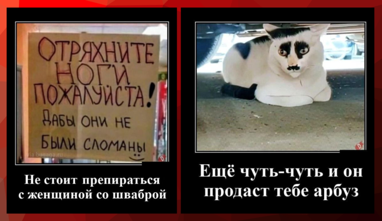 Новые демотиваторы и продажа арбузов