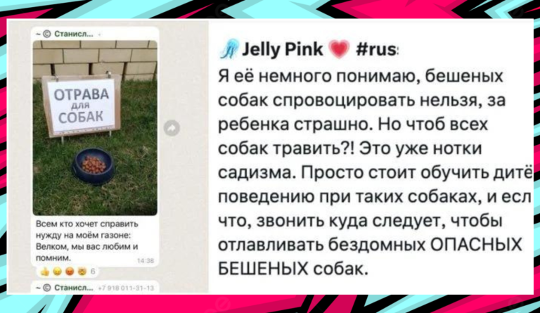 Смс-переписки в домовых чатах с собачниками
