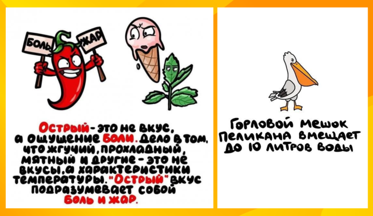 Интересные факты, которые пригодятся в любой обстановке