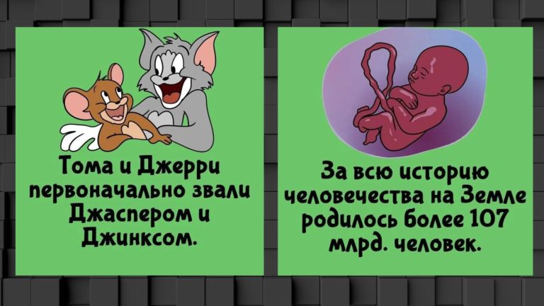 Как называется пространство между ноздрями и ещё 13 интересных фактов