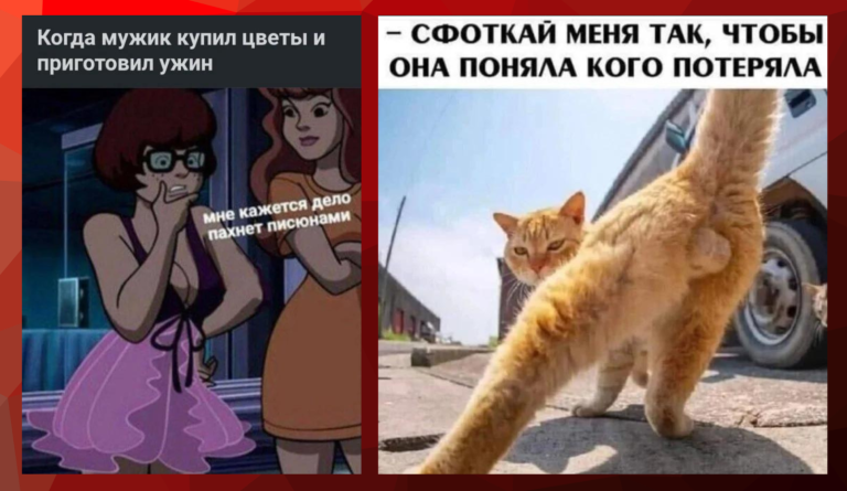 Прикольные картинки с надписями и кого она потеряла