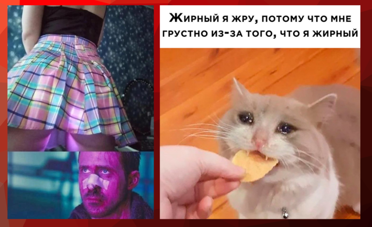 Прикольные картинки с надписями и заесть стресс