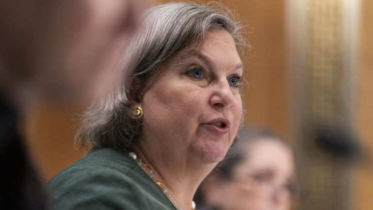 Заместитель госсекретаря США Виктория Нуланд уходит в отставку