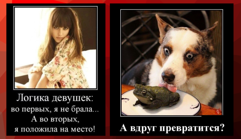 Новые демотиваторы и превращение жабы