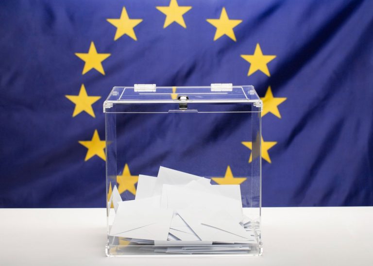 Выборы в Европарламент: какие партии лидируют, а какие отстают?