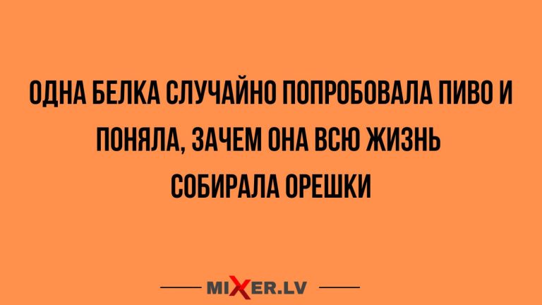 Юмор за день, белка и пиво