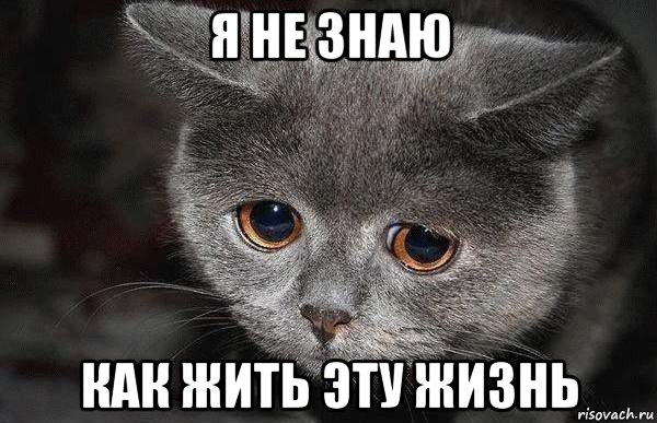Психологический тест: что вам мешает жить?