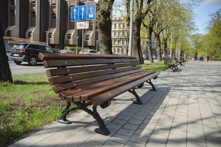 От 50 до 100 тысяч евро — такова цена каждого дерева в городе