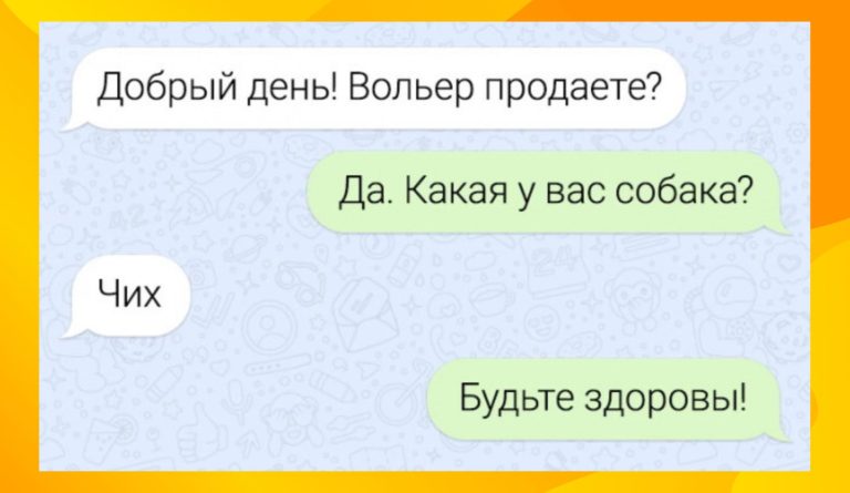 Смешные СМС-переписки заряженные на позитив и собачья будка