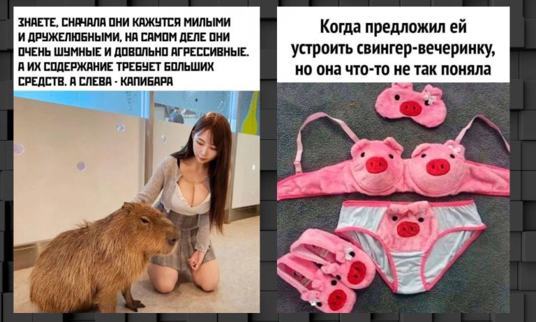 Прикольные картинки с надписями и свинки