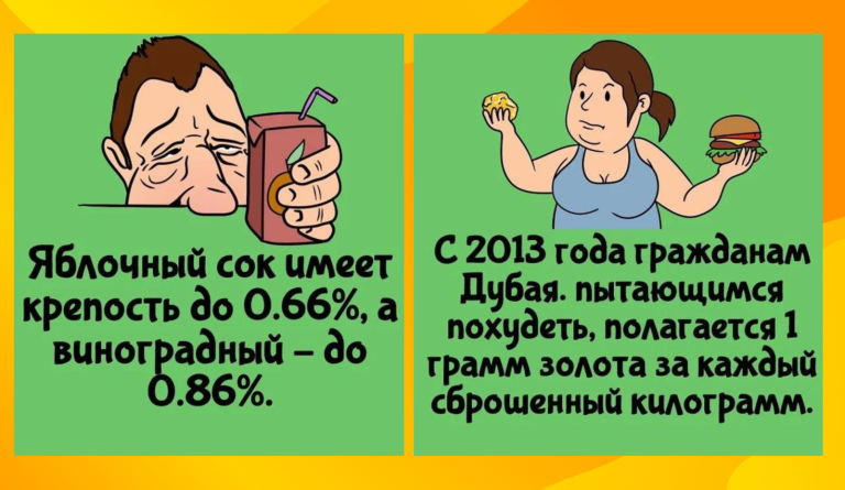 Сколько градусов в яблочном соке и ещё 13 интересных фактов