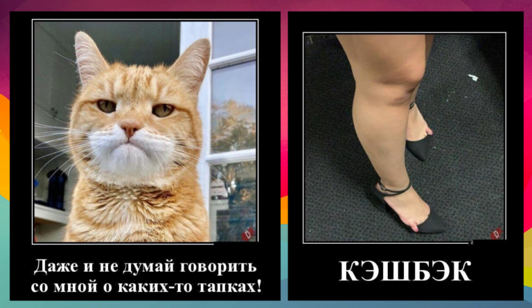 Новые демотиваторы и кэшбэк