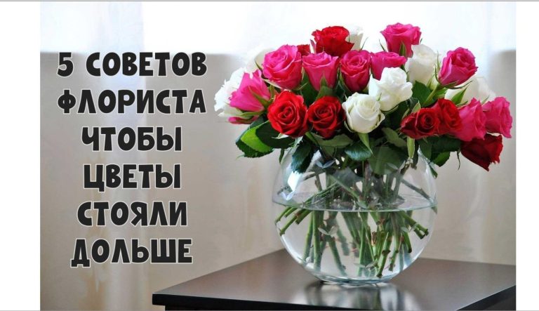 Флористы рекомендуют: Пять советов, благодаря которым цветы в вазе простоят дольше