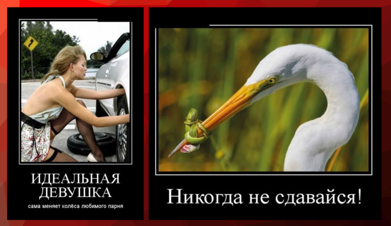 Новые демотиваторы и цапля