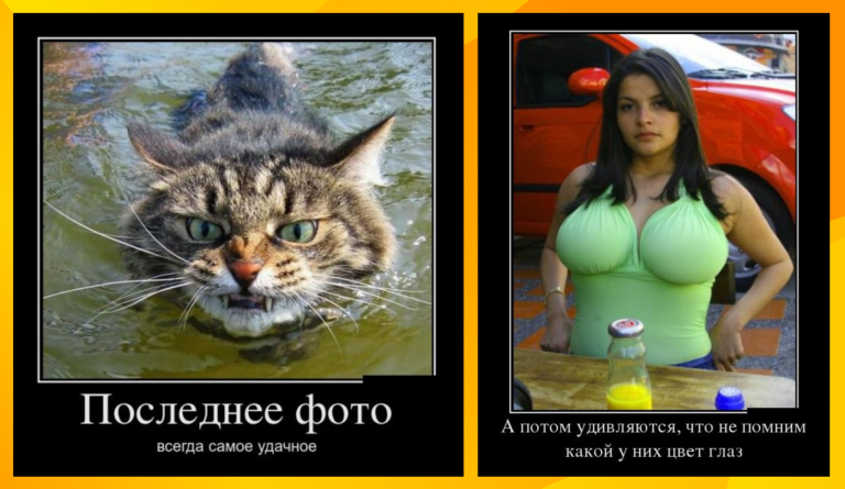 Новые демотиваторы и последнее фото