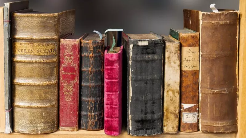 Грузинские книголюбы задержаны за кражу антикварных книг из европейских библиотек — ущерб на миллионы евро