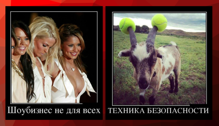 Новые демотиваторы и безопасная коза