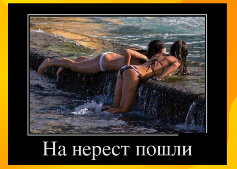 Новые демотиваторы и нерест не у рыб