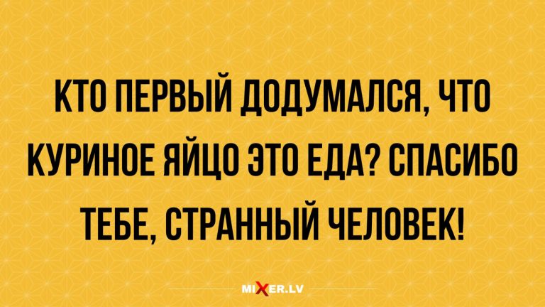 Юмор за день и куриное яйцо