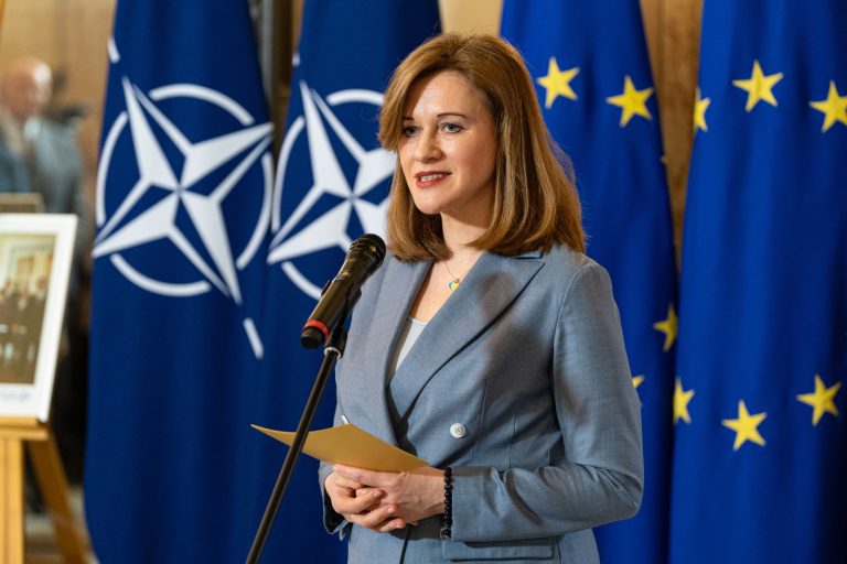 Силиня: Калниня-Лукашевица — достойный кандидат на пост министра иностранных дел