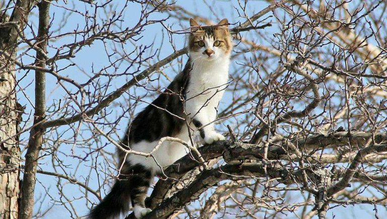 Синоптики сделали неутешительный прогноз на ближайшие дни