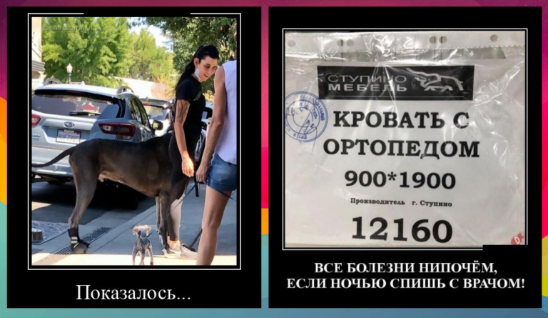 Новые демотиваторы и в кровати с ортопедом