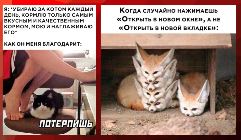 Прикольные картинки с надписями и открыть в новом окне