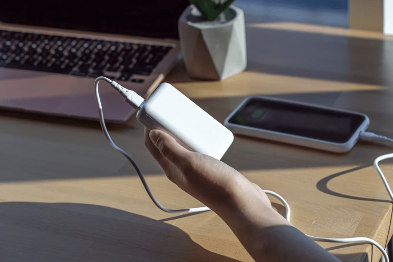 Центр Государственного языка: отныне powerbank будет называться lādētājakumulators