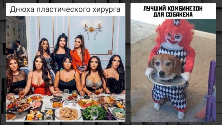 Прикольные картинки с надписями и комбинезон для собаки