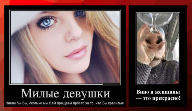 Новые демотиваторы и милые девушки