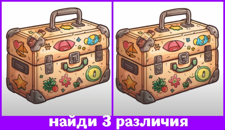 А это был не ваш чемоданчик? Найдите 3 различия, чтобы не перепутать